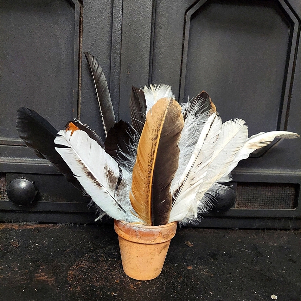 25 Assorted Feathers From My Free Range Friends-Cruelty Free!